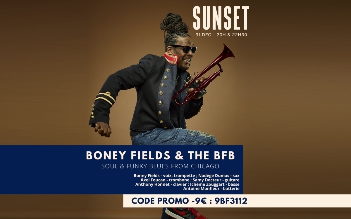 Boney Fields at the Sunset, Paris, New Years Eve
